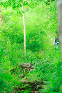 BIB: 
                            <button type="button" onclick="openModal(22090538)" class="btn btn-primary btn-sm float-right btn-popup" data-toggle="modal" data-target=".modal-high-quality">
                        <i class="fas fa-shopping-cart"></i> Add to Cart
                    </button>
                                            <button type="button" onclick="isThisMe(22090538, true)" class="btn btn-success btn-sm float-right btn-popup btn-isme hidden" data-toggle="tooltip" data-placement="bottom" title="นี่คือรูปของคุณใช่ไหม คลิกที่นี่เพื่อเอาเข้าอัลบั้ม">
                        <i class="fas fa-plus"></i> Add to album
                    </button>
                    <button type="button" onclick="isThisMe(22090538, false)" class="btn btn-warning btn-sm float-right btn-popup btn-isnotme hidden">
                        <i class="fas fa-ban"></i> Remove from album
                    </button>